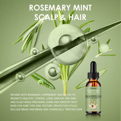 Hair Growth Essential Oil Rosemary Mint Hair Strengthening Oil Nourishing Treatment for Split Ends Dry Organics Hair Care Oil